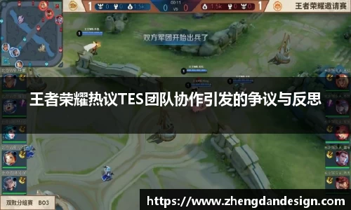 王者荣耀热议TES团队协作引发的争议与反思