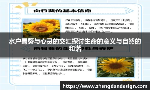 365WM完美体育官方网站