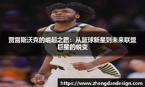 365WM完美体育官方app
